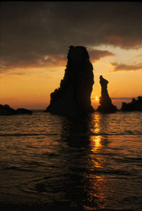 portcoton