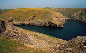 pouldon